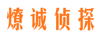 新疆商务调查